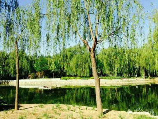 望京公园游玩攻略，不容错过的景点和美食