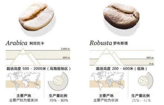 影响咖啡新鲜度的因素