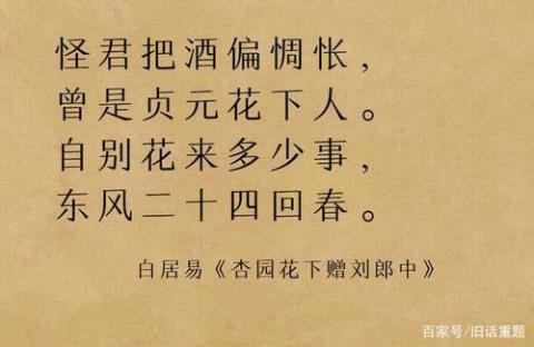 关于同情诗句合集(精选)