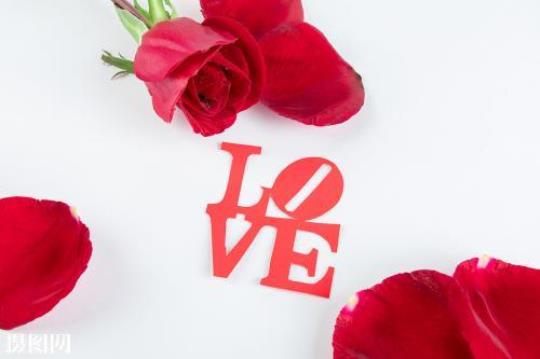 关于玫瑰花爱情的诗句合集(通用) 关于玫瑰花爱情的唯美句子