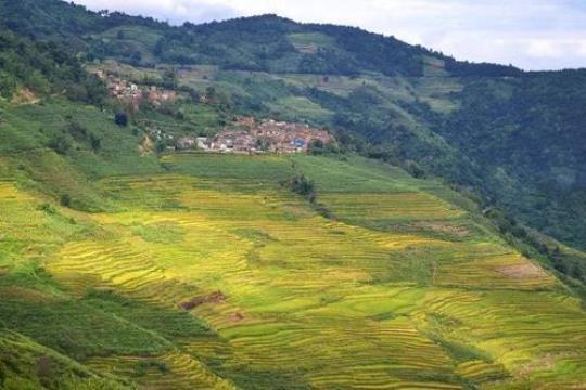 元江旅游(精彩的旅游体验等着你)