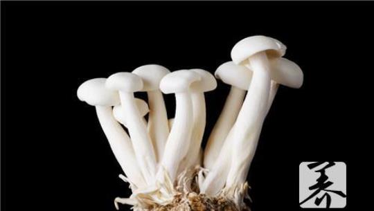 金针菇多久熟
