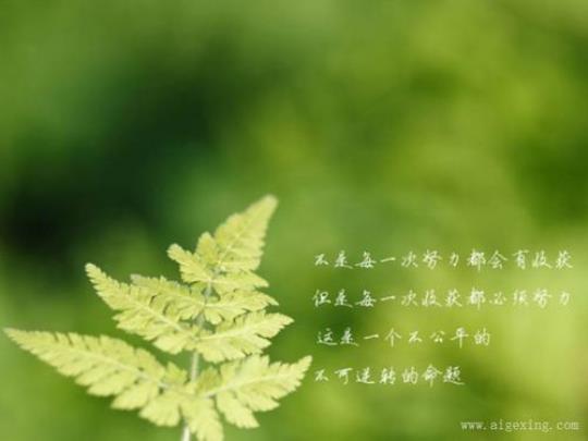 关于形容成长的句子说说心情大全 关于形容成长的句子