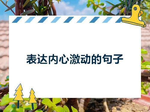 关于激动心情的句子6大全 关于激动心情的作文350字四年级