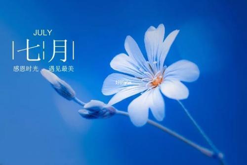 关于2月份唯美句子大全 11月份图片唯美