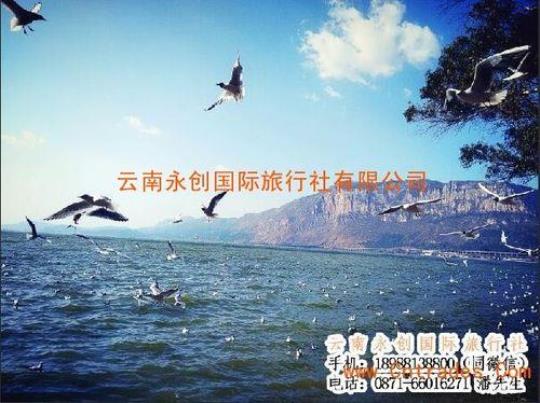 昆明旅游公司有哪些推荐？