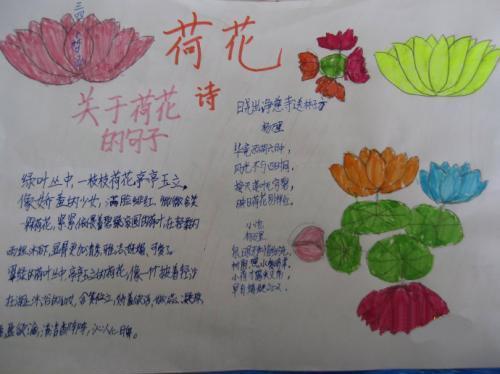 关于小学三年级花的诗句合集(精选) 关于小学三年级对称轴的题目