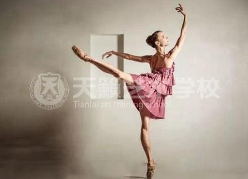 形容女生舞姿优美的句子