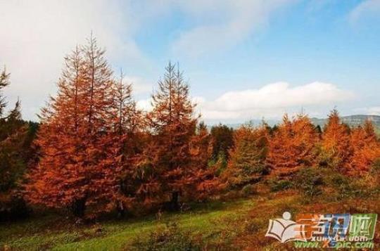 秋季旅游作文（感受秋季旅游的美好）