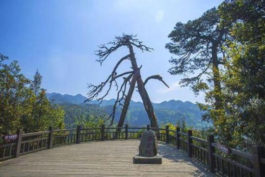 探寻博乐周边旅游景点（畅游伊犁河谷的美丽风景）