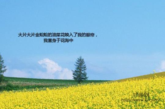 描写景物的短句
