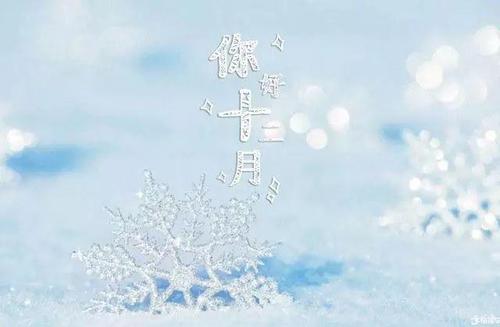 关于一月的优美句子大全 关于一月优美的诗句或者文案