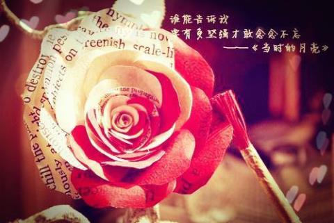 关于玫瑰伤感唯美的句子大全 关于玫瑰伤感语录