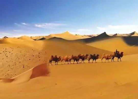 皖和号旅游专列攻略？