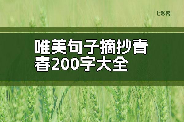 唯美句子摘抄青春200字
