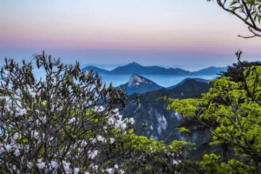 安徽春游哪里旅游最好（推荐安徽五大最佳春游景点）