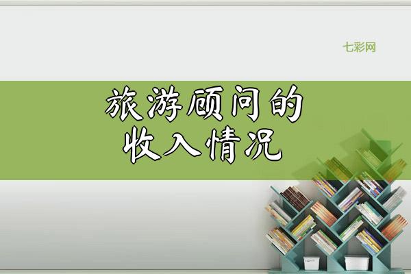 旅游顾问的收入情况
