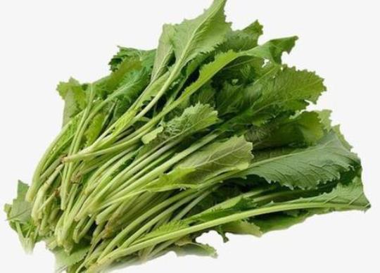 春不老是什么菜（介绍春不老的营养价值和烹饪方法）