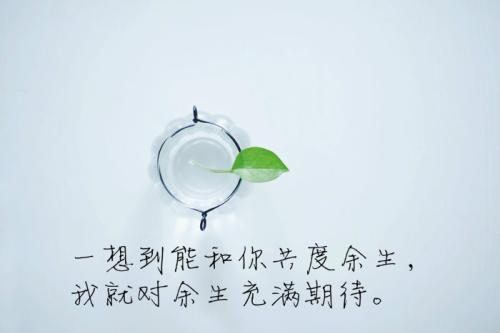 致余生的唯美句子