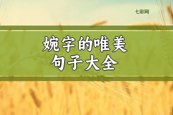 关于婉字的唯美句子大全 婉字的唯美句子