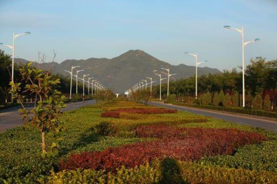山前大道是什么样的风景？