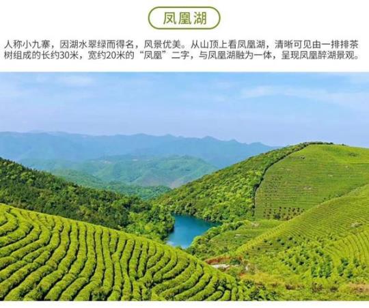 东钱湖福泉山门票价格（介绍福泉山门票的价格和优惠政策）