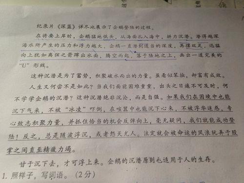 关于优美的句子带修辞手法的大全 关于优美句子摘抄简短