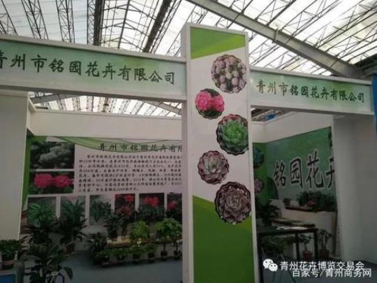 青州花博会门票价格是多少？