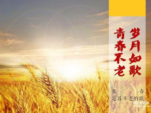 关于同学同窗的句子唯美大全 同学同窗的感慨