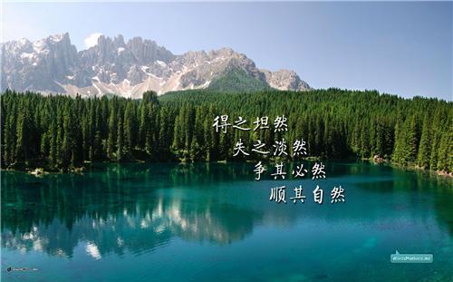 关于顺其自然的唯美句子大全 顺其自然的唯美句子