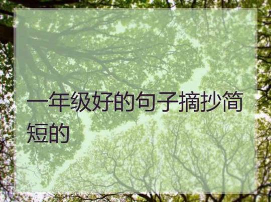 关于一年级优美的句子简短大全 关于一年级优美的句子