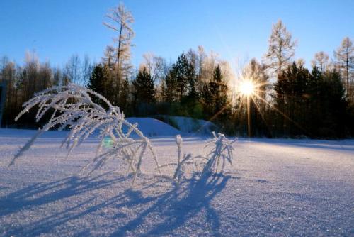 关于沈阳在下雪优美的句子大全 2021年沈阳什么时候下雪