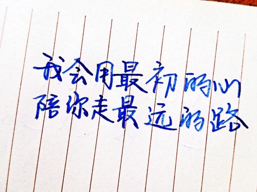 关于爱情告白优美句子大全 关于爱情告白的歌曲