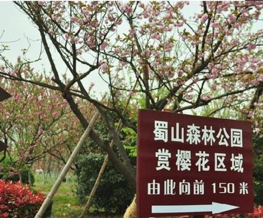 大蜀山是否需要门票？