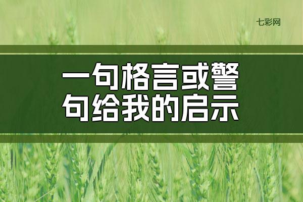 一句格言或警句给我的启示