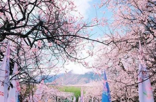 桃林沟旅游攻略，让你玩转桃花源