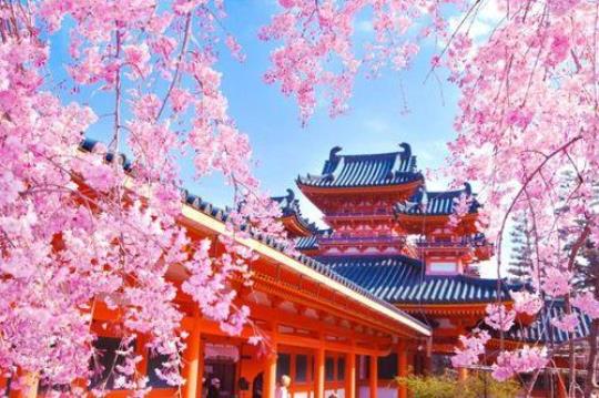 78天去东京，大阪，京都，怎么安排才好，各几天