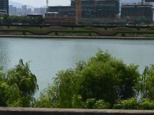 丽水莲都区天气预报来源