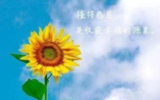 关于美好生活的唯美的句子大全 记录美好生活的唯美句子
