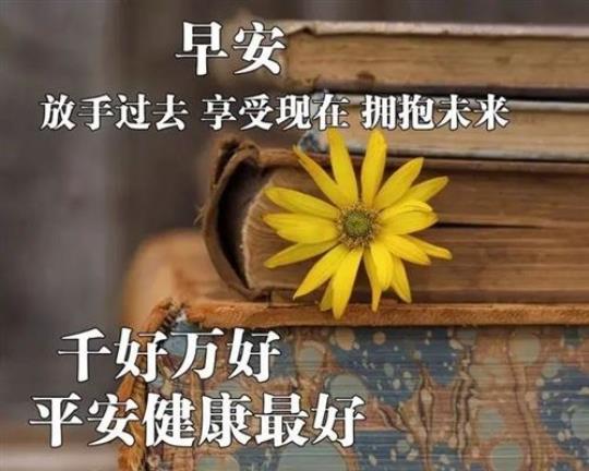 关于早晨祝福的唯美句子大全 关于早晨祝福的话语