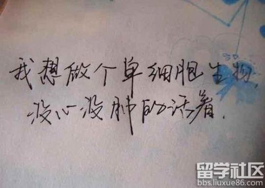 关于最新个性签名唯美句子大全 最新个性网络图片