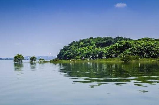 潘阳湖探寻湖光山色中的自然美景