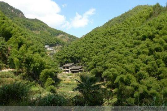 青峰村介绍及旅游攻略