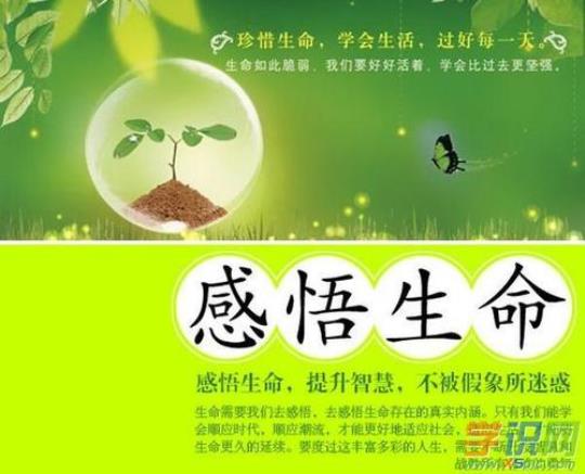 关于名言警句的感悟300字大全 关于名言警句的句子