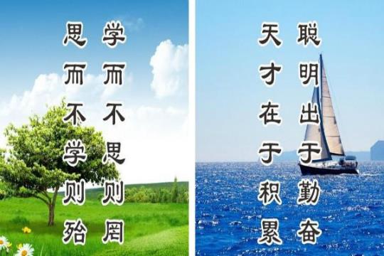 关于名言警句我的语文老师告诉我大全 关于名言警句的作文800字