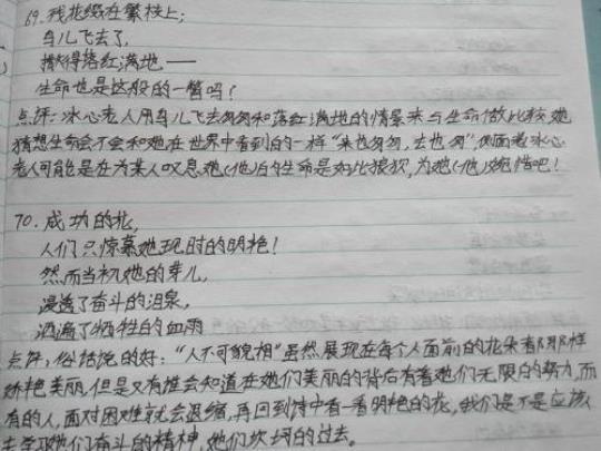 关于初中名著优美句子大全 关于初中名著的手抄报内容