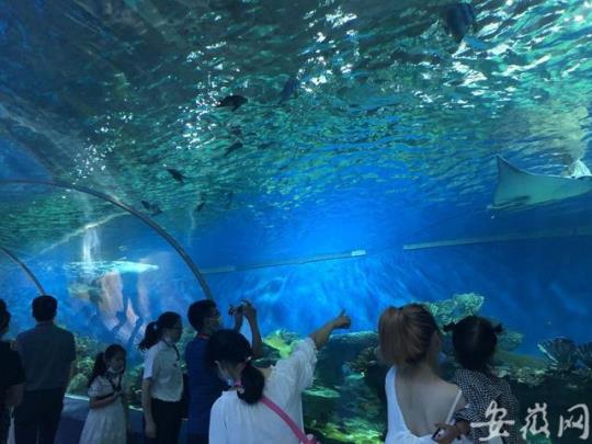 阜阳海洋公园门票价格（游玩攻略及门票费用）