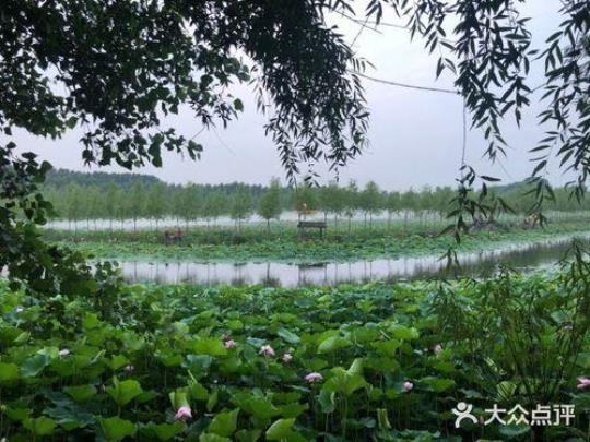 辽阳柳壕湿地公园门票价格及购买方式