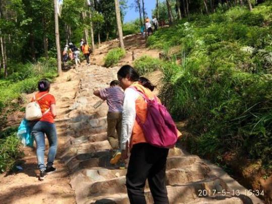 赣州杨仙岭需要门票吗？