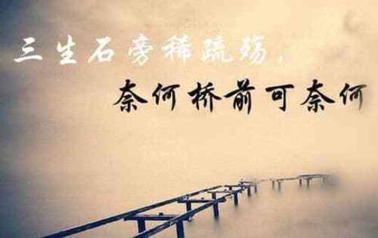 关于第七天佳句大全 第七天好词佳句